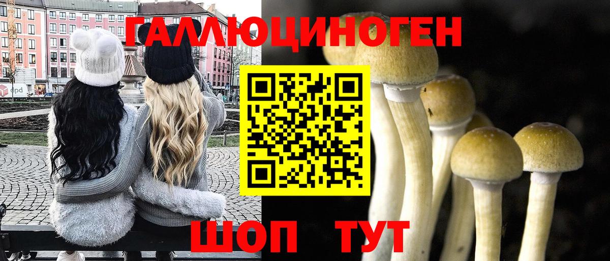 Псилоцибиновые грибы Magic Shrooms  Галлюциногенные грибы GOLDEN TEACHER  Бор  Вход с VPN 